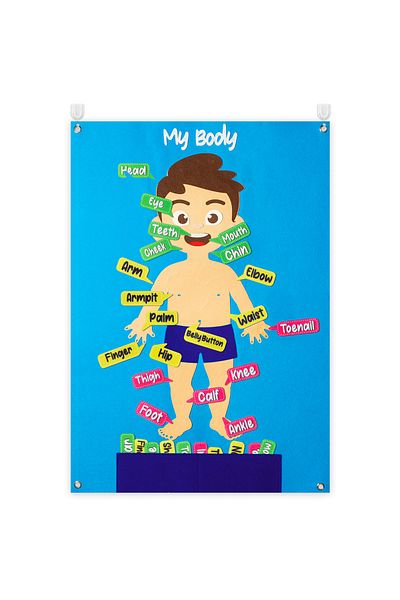 Choice JX-W0042-3 35Pcs Body Awareness Full Felt Storyboard Set Cartoon Kid Physical Cognitive Hanging Back