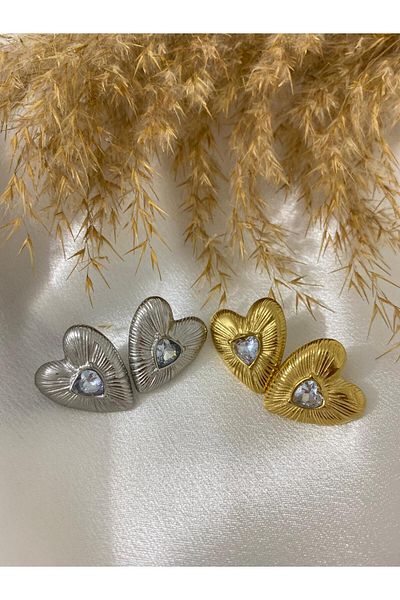 stainless steell Stone Detailed Heart Steel Earrings