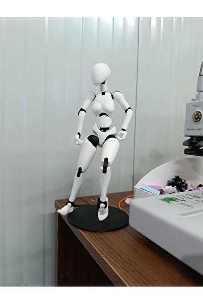 Sette Art Hareketli Robot İnsan Figürü, Sanatçı Mankeni