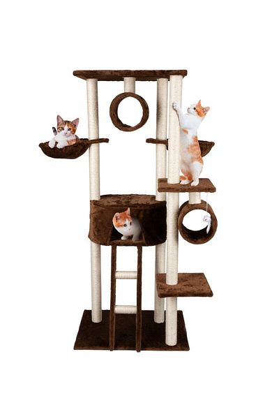 Pet Comfort Cat scratching post with bed 165 cm
