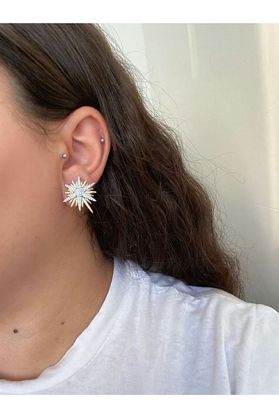 stainless steell Zircon Detailed Star Steel Earrings