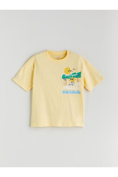 LC Waikiki Sari Crew Neck Printed Boy's T-Shirt