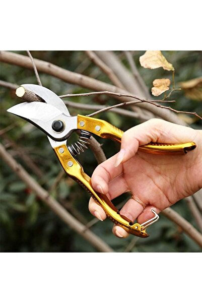 Generic مقصات تقليم الأشجار المصنوعة من الفولاذ المقاوم للصدأ مقاس 8 بوصات - مقصات تقليم الأشجار الحادة الاحترافية للحدائق.