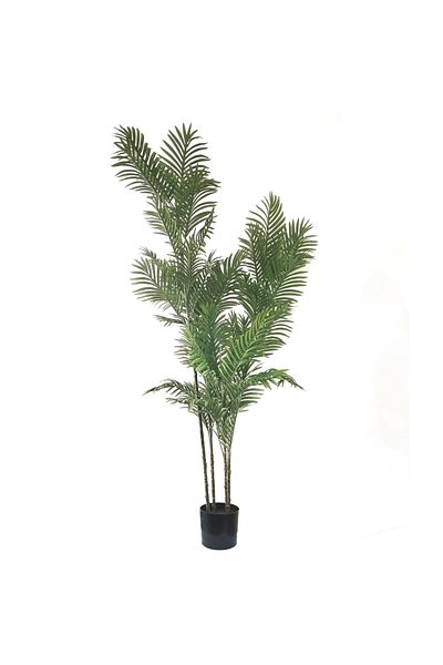 DESİGN Artificial Areca plant, Azay Design, with long green leaves and realistic details, H 180 cm