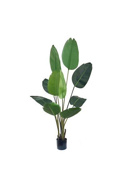 DESİGN Planta artificiala Strelitzia (Pasarea Paradisului), Azay Design, cu frunze verzi mari, H 160 cm