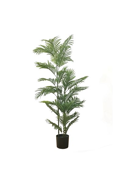 DESİGN Artificial Areca plant, Azay Design, with long green leaves and realistic details, for interior H