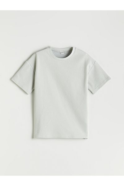 LC Waikiki Crew Neck Boy's T-Shirt
