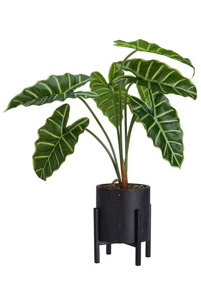 DESİGN Artificial Green Alocasia Plant, Azay Design, in black pot and metal stand with legs H 55