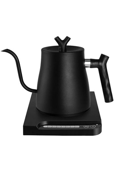 DOPPİO Electric Gooseneck Kettle, 304 Stainless Steel Electric Water Kettle & Coffee Kettle with Temperatur