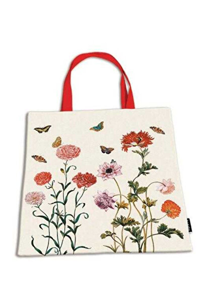 Fridolin Sacosa Maria Sibylla Merian, Fridolin, editie pentru varste mici