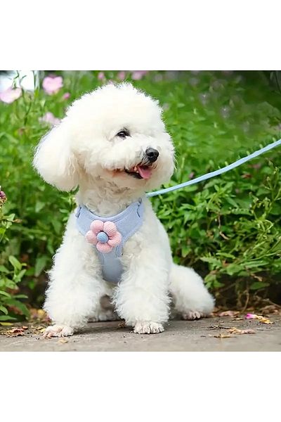dukart Pet Floral Collar, Size m