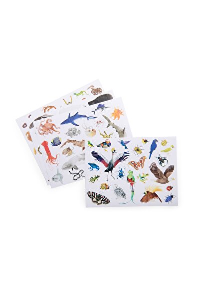 Moulin Roty Repositionable Children's Toy Animals of the World,