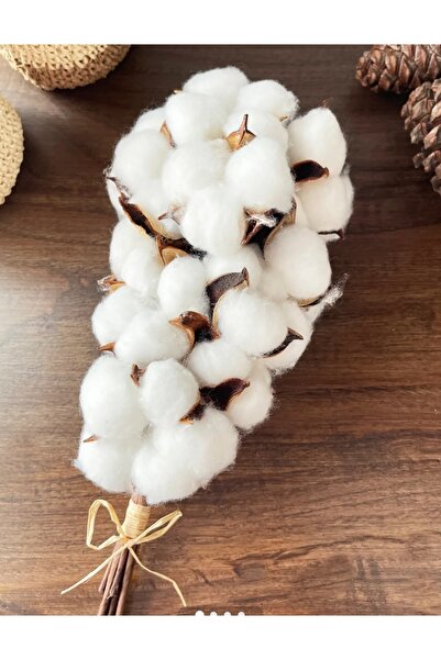 ARCET Pamuk Otu Demeti 10'lu