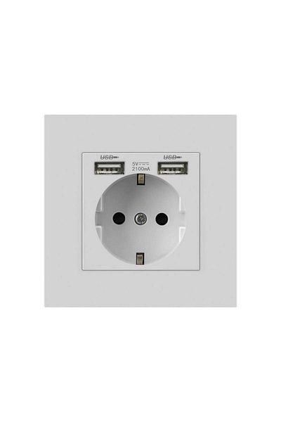 TECHSTAR ® PCU1 Socket, Single, 2 x USB, 2.1 A, White Color, Polycarbonate, 16A