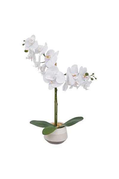 Atmosphera Clera Orchid with Ceramic Pot (H. 52 cm)