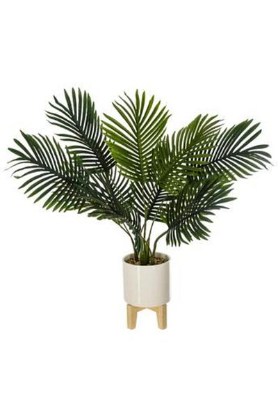 Atmosphera Artificial Plant W/Pot & Stand (72 cm)