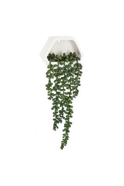 Own Artificial Wall Vine Plant (14 x 5.5 x 12.2 cm)