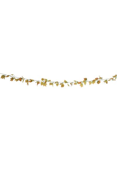 Own Artificial Decorative Hanging Vine (250 cm, Autumn Green)