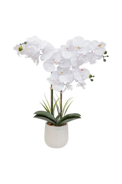Atmosphera Riva Orchid with Ceramic Pot (H. 60 cm)