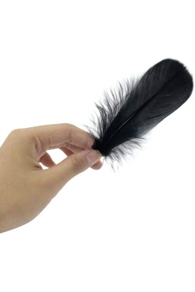 HOBYGAMES Siyah Kuş Tüyü 10 Adet