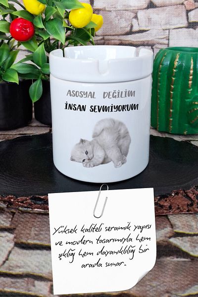qoeuyl boutique I'M Not Social I Hate People Gift Fun Cute Printed Ceramic Lid Odorless Ashtray