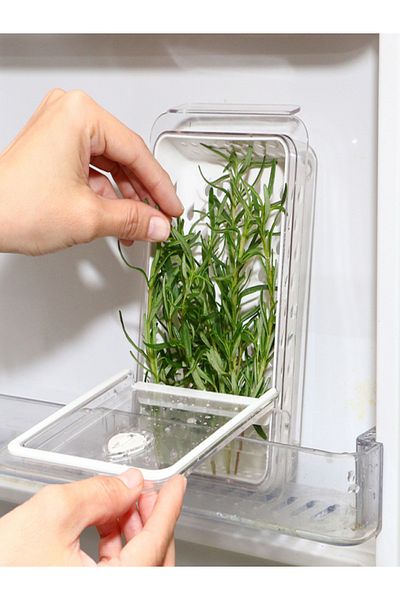 Felli Dew Fresh Herb and Produce Storage Container
