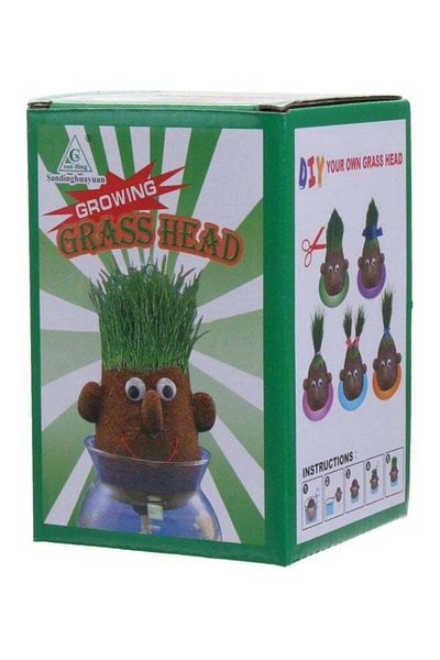 Rally Innovative and Educational Grass Head Toy for Kids inch