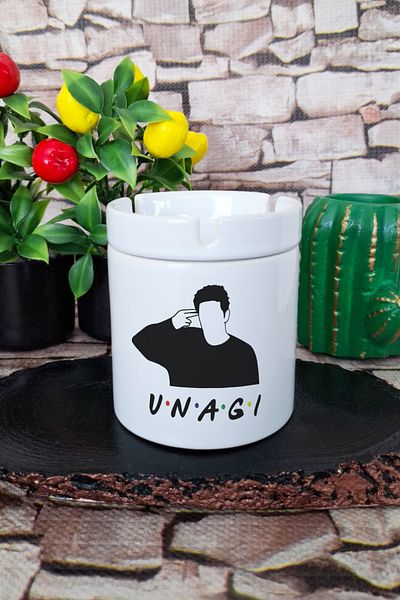 qoeuyl boutique Unagi Ross Friends Printed Ceramic Lid Odorless Ashtray
