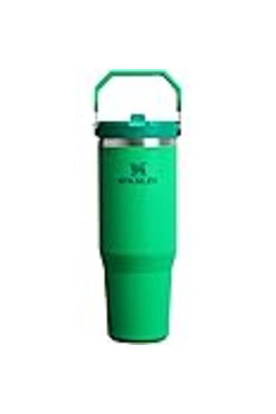 Stanley IceFlow 2.0 Flip Straw Tumbler 30 oz Meadow