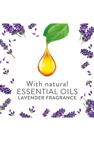 Air Wick Plug-in Scented Oil Fragrance Diffuser with Refill Lavender Scent 19 ml