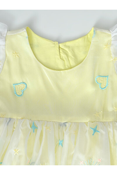 Bella Moda By Styli Embroidered Ruffled Sleeve Mesh Knee Length Dress