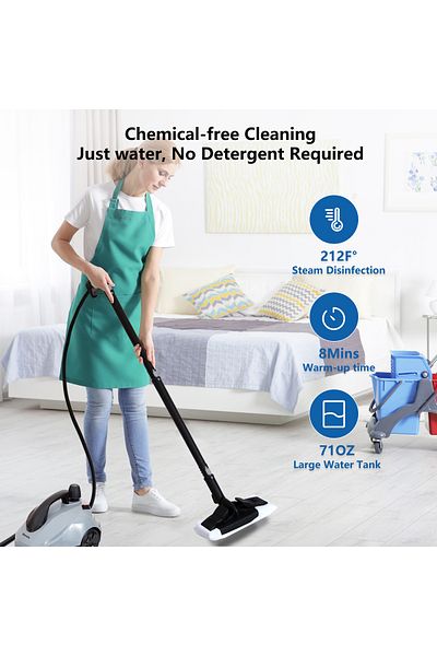 sharpdo High Temperature Fumigation Machine, Steam Cleaning Machine
