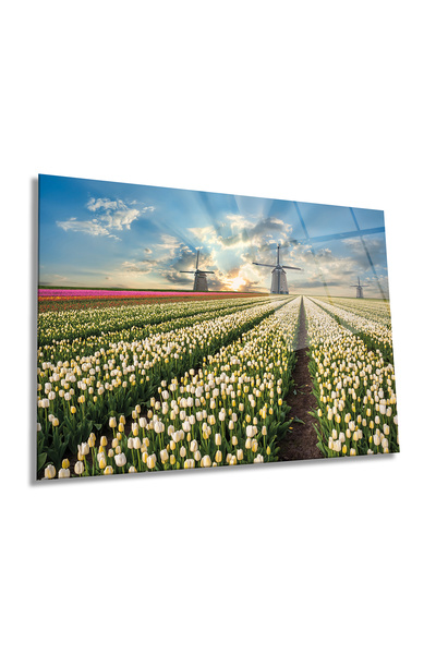 Rosyvien Moara în peisaj de lalele Pictură orizontală din sticlă, decor de pe...