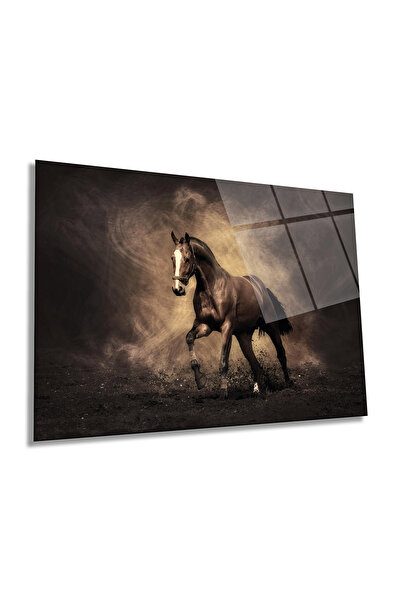 Rosyvien Elegant Brave Running Horse Animal Portrait Pictură orizontală pe st...
