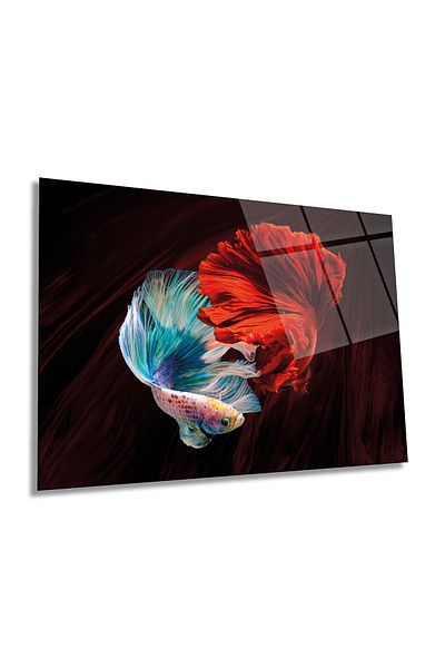 Rosyvien Red Blue Beta Fish Animal Portrait Horizontal Glass Painting, Home and Office Wall Decoration, Luxury Gift