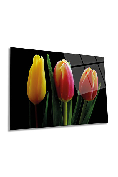 Rosyvien Lalele roșii galbene pictură orizontală pe sticlă, natură, decor de ...