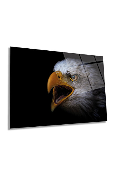 Rosyvien Charisma Eagle Animal Portrait Pictură Orizontală Pe Sticlă, Decorar...