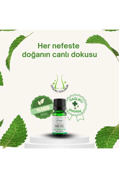 dionesse زيت النعناع النقي 100% 10 مل - دعم طبيعي ومنعش ومنعش للبشرة على شكل زيت عطري
