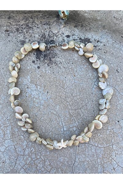 Stoneday Natural Seashell (Cat's Eye Shell) Star End Summer Necklace
