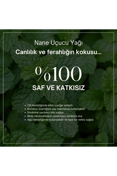 dionesse زيت النعناع النقي 100% 10 مل - دعم طبيعي ومنعش ومنعش للبشرة على شكل زيت عطري
