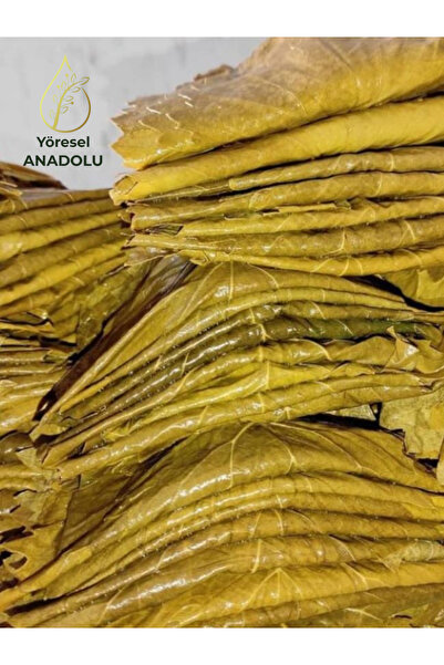 YÖRESEL ANADOLU TOKAT 2025 MAHSÜL Damarsız Asma Üzüm Yaprağı 5 KG Salamura (Tokat Üzüm Yaprağı)