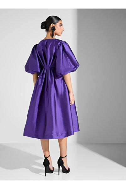 Sinoir Ruffle Sleeve Taffeta Dress