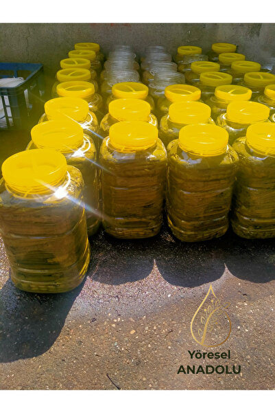 Tokat YENİ MAHSÜL Damarsız Asma Üzüm Yaprağı 5 KG Salamura (Tokat Üzüm Yaprağı)