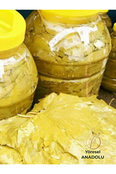 Tokat 2025 MAHSÜL Damarsız Asma Üzüm Yaprağı 5 KG Salamura (Tokat Üzüm Yaprağı)