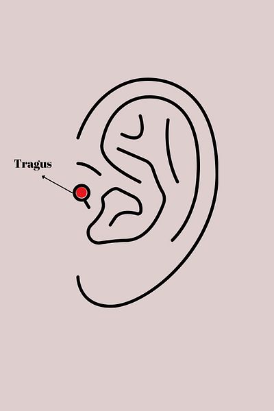 Skygo 316L Silver Heart Model Tragus Piercing with Zirconia - Tj-Pr1347