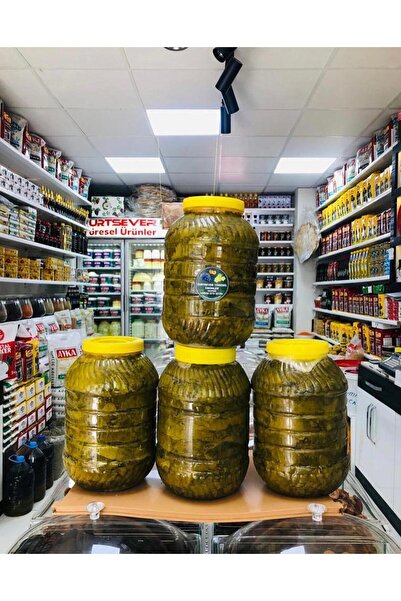 YURTSEVER YÖRESEL ÜRÜNLERİ Arapgir Asma Yaprağı 5kg