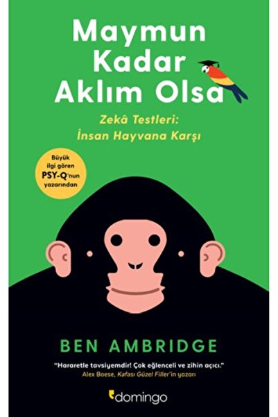 Domingo Yayınevi Maymun Kadar Aklım Olsa