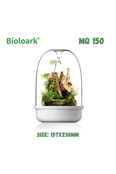 OEM Glass terrarium MQ-150
