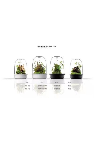 OEM Glass terrarium MQ-150