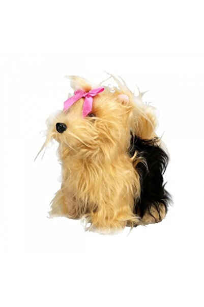 İsmiyle Al Znv Mey Import ®   Cute Dog Terrier Znv2026